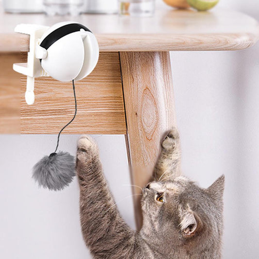 Electronic Motion Cat Teaser Toy