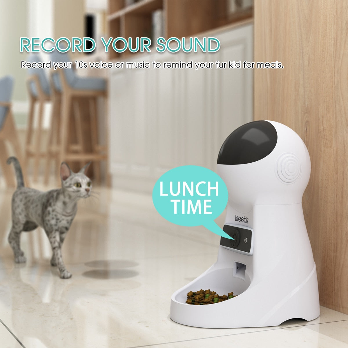 3L Smart Food Dispenser With Camera