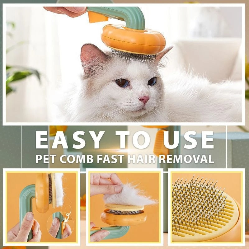 Pumpkin Cat Comb For Grooming